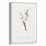 Romanticism Art: Apricot Blossom by Giorgio Gallesio