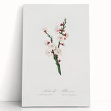 Romanticism Art: Apricot Blossom by Giorgio Gallesio