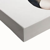 Floating Baby Raccoon Girls Room Wall Art - Dreamy Nursery Print