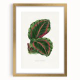 Romanticism Art: Green Corona Plant by Lydon & Fawsett