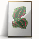 Romanticism Art: Green Corona Plant by Lydon & Fawsett