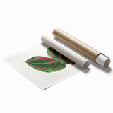 Romanticism Art: Green Corona Plant by Lydon & Fawsett