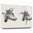Realism Animal Study Art Print - Two Bull Heads by Jean Bernard