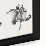 Realism Animal Study Art Print - Two Bull Heads by Jean Bernard