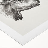 Realism Animal Study Art Print - Two Bull Heads by Jean Bernard