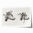 Realism Animal Study Art Print - Two Bull Heads by Jean Bernard