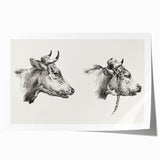 Realism Animal Study Art Print - Two Bull Heads by Jean Bernard