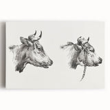 Realism Animal Study Art Print - Two Bull Heads by Jean Bernard