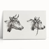 Realism Animal Study Art Print - Two Bull Heads by Jean Bernard