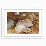 Realism Animal Art Print - Oxen Resting by John Singer Sargent