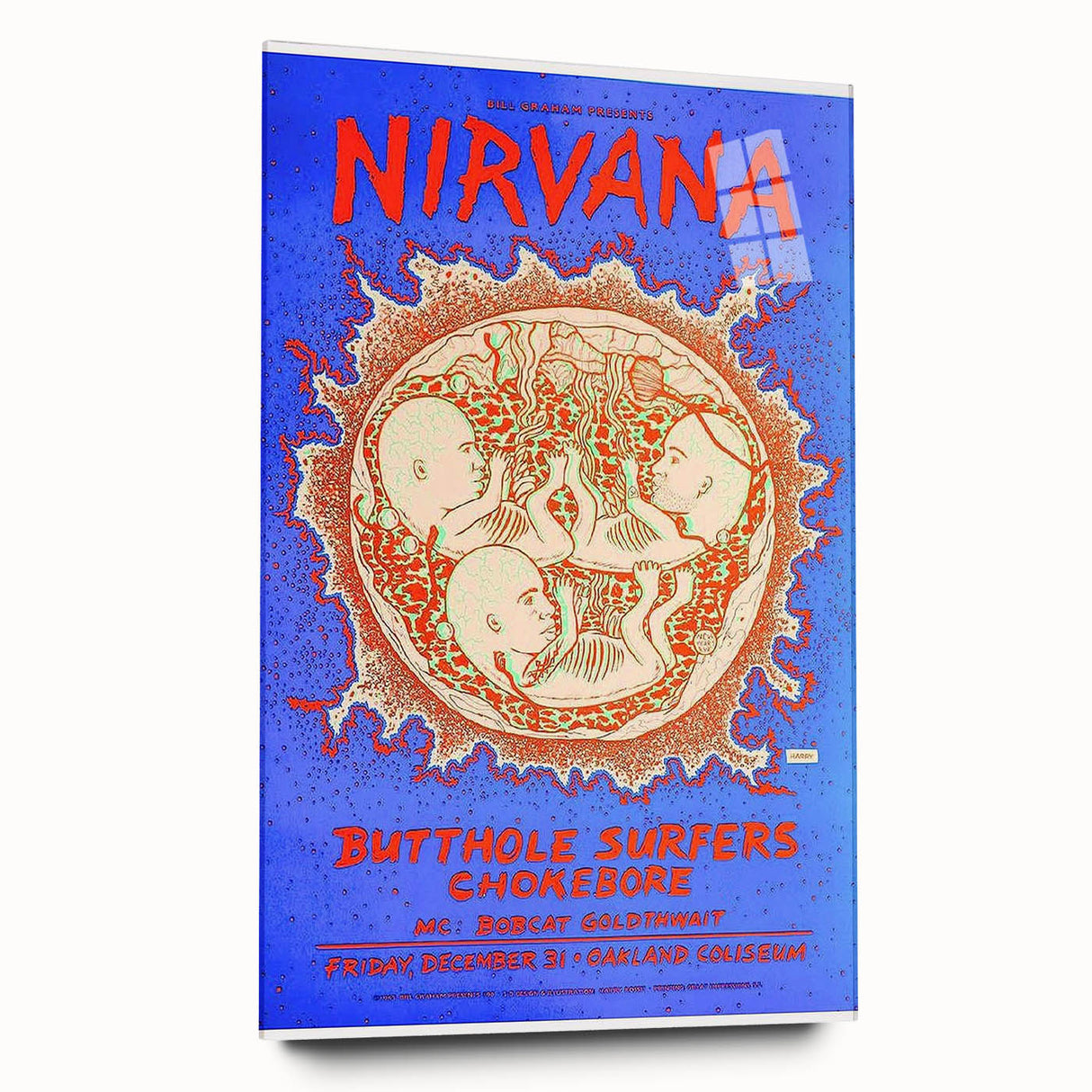 Nirvana Concert Poster - Retro Grunge Art for Music Lovers