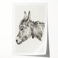 Romanticism Art: Head of a Donkey by Jean-Bernard