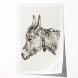 Romanticism Art: Head of a Donkey by Jean-Bernard