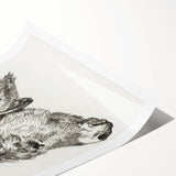 Romanticism Art: Head of a Donkey by Jean-Bernard