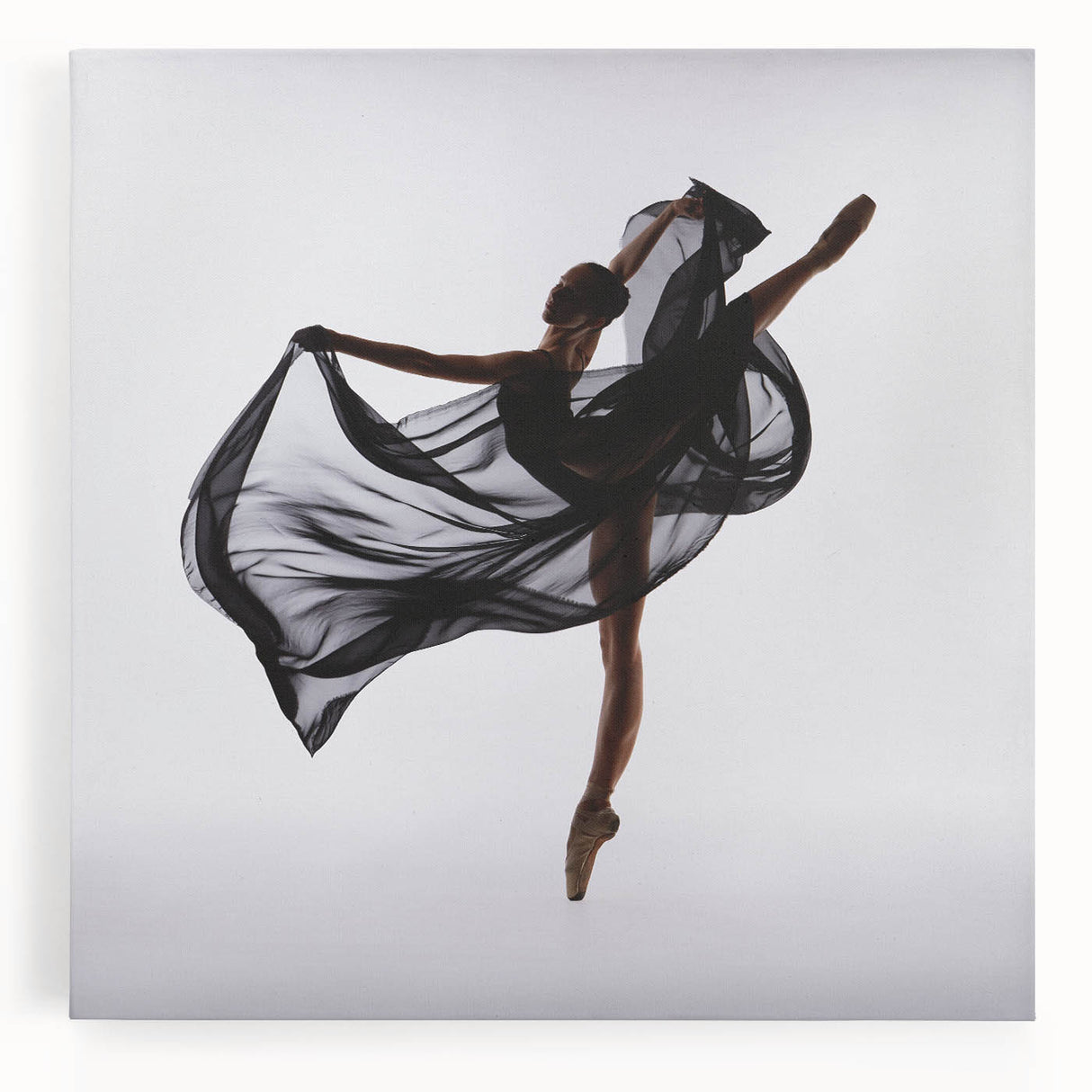Grace in Motion – Modern Figure Wall Art in Emotive Photography