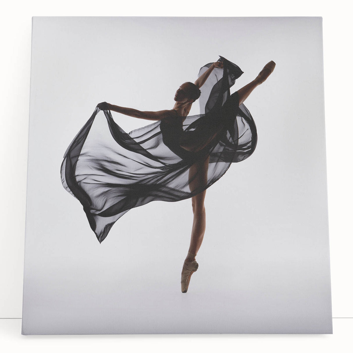 Grace in Motion – Modern Figure Wall Art in Emotive Photography