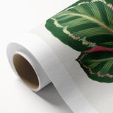 Romanticism Art Print: Maranta Illustris Leaf - Botanical Wall Art