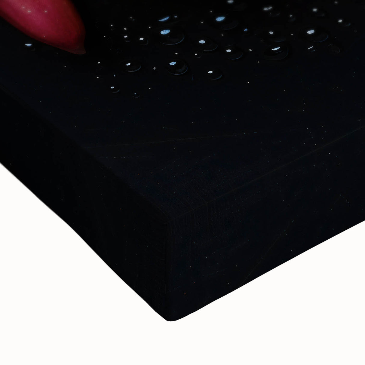 Close-up of a large art piece featuring black and white landscape art paintings of fruits on a stretched canvas.