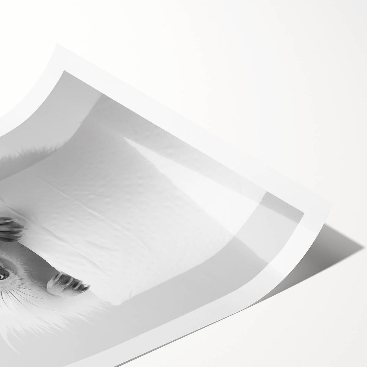 Cute Hedgehog Bathroom Wall Art - Minimalist Black and White Decor