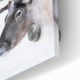 Large abstract wall art of a Finnish landscape in muted earth tones on acrylic glass, suitable for dining room ambiance.