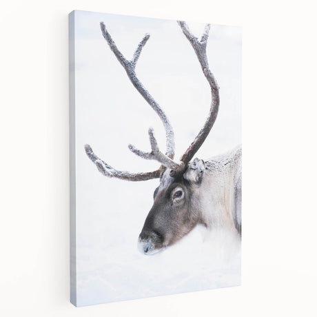 Winter landscape in Finland depicted in muted blue and white tones on a large stretched canvas, ideal for kitchen wall art.