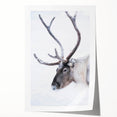 Large rolled print of a serene Finnish landscape with lush greenery and a calm lake, suitable for dining room decor.