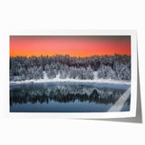 Extra large rolled print depicting a floral scene in Latvia, in muted earth tones, ideal for art wall dining room.