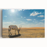 Black and white large art canvas of Oman scenery, suitable for kitchen wall art.