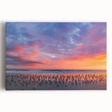 Black and white stretched canvas featuring Daytona Beach scenery, suitable as large kitchen wall art.