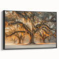 Black and white framed canvas of a vintage Louisiana landscape, ideal for bedroom decor.