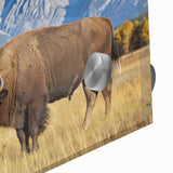 Acrylic print of the Grand Tetons with a large abstract design in muted earth tones, suitable for dining room art.