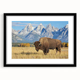 Extra large, textured abstract art print of colorful Wyoming Grand Tetons scenery on a framed black mat.