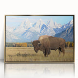 Framed acrylic print of Grand Tetons scenery with golden hues, ideal for modern art wall decor.