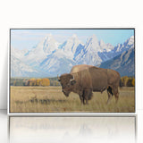 Acrylic print of the Grand Tetons in Wyoming with a white frame, featuring serene blue and green tones.