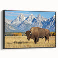 Black and white framed canvas of the Grand Tetons landscape, ideal for bedroom wall decor.