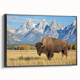 Black and white framed canvas of the Grand Tetons landscape, ideal for bedroom wall decor.