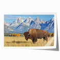 Rolled print of the Grand Tetons in muted earth tones, ideal for art wall dining room placement.