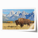 Rolled print of the Grand Tetons in muted earth tones, ideal for art wall dining room placement.