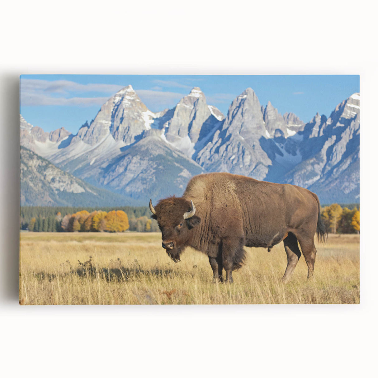 Black and white photograph of the Grand Tetons on stretched canvas, ideal for kitchen wall art.