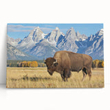 Black and white photograph of the Grand Tetons on stretched canvas, ideal for kitchen wall art.