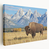 Grand Tetons landscape on large stretched canvas with earth-tone colors, suitable for kitchen wall art.