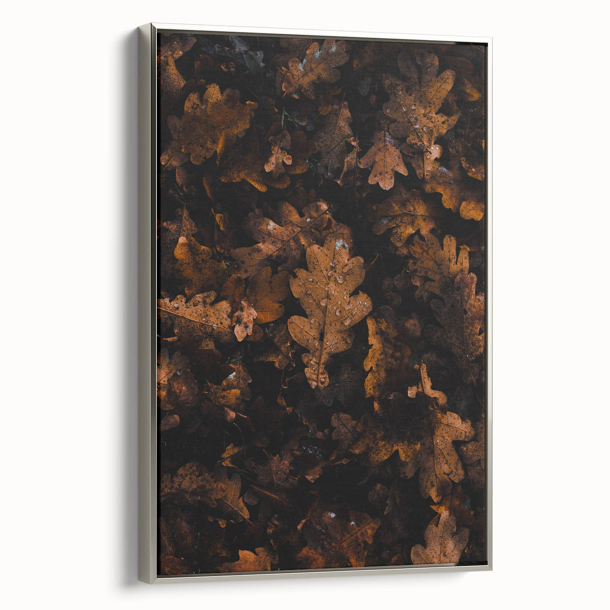 Framed canvas featuring a vintage landscape art painting of fall trees, with vibrant red and orange leaves.