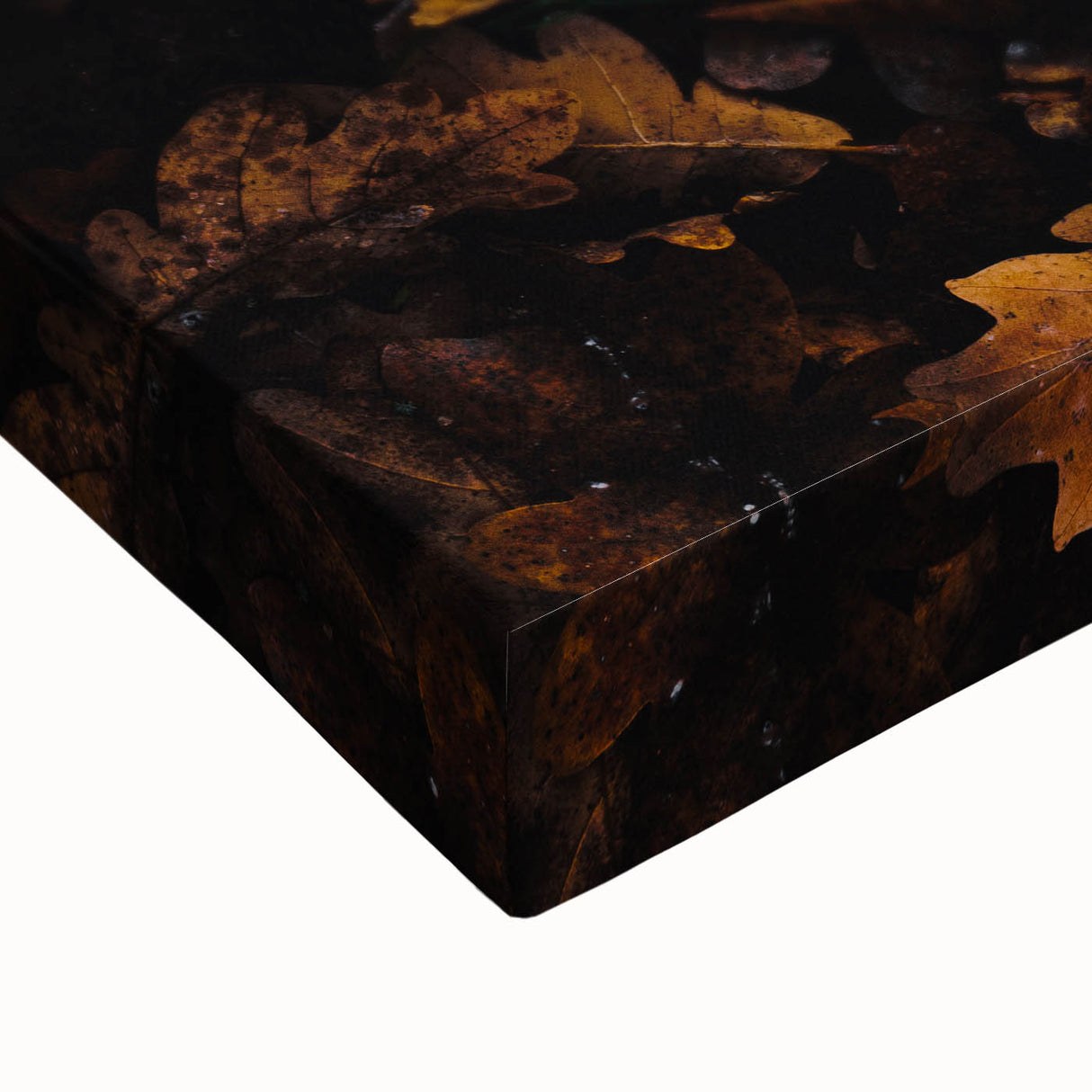 Large art of a black and white landscape painting on stretched canvas, depicting a serene fall scene.