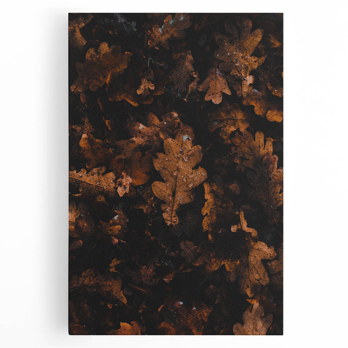 Large black and white stretched canvas depicting a fall-themed abstract design, suitable for kitchen wall art.