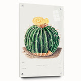 Classic Romantic Paintings: Parodia Sellowii Floral Wall Art