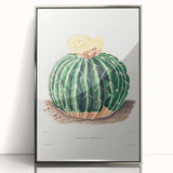 Classic Romantic Paintings: Parodia Sellowii Floral Wall Art