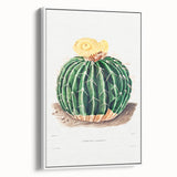 Classic Romantic Paintings: Parodia Sellowii Floral Wall Art