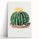 Classic Romantic Paintings: Parodia Sellowii Floral Wall Art