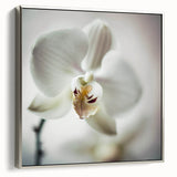 Elegant White Orchid Canvas Wall Art – Modern Framed Floral Decor
