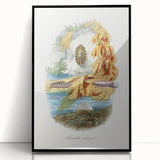 Romanticism Art: Volcano Limpet Snail Wall Art for Home Decor